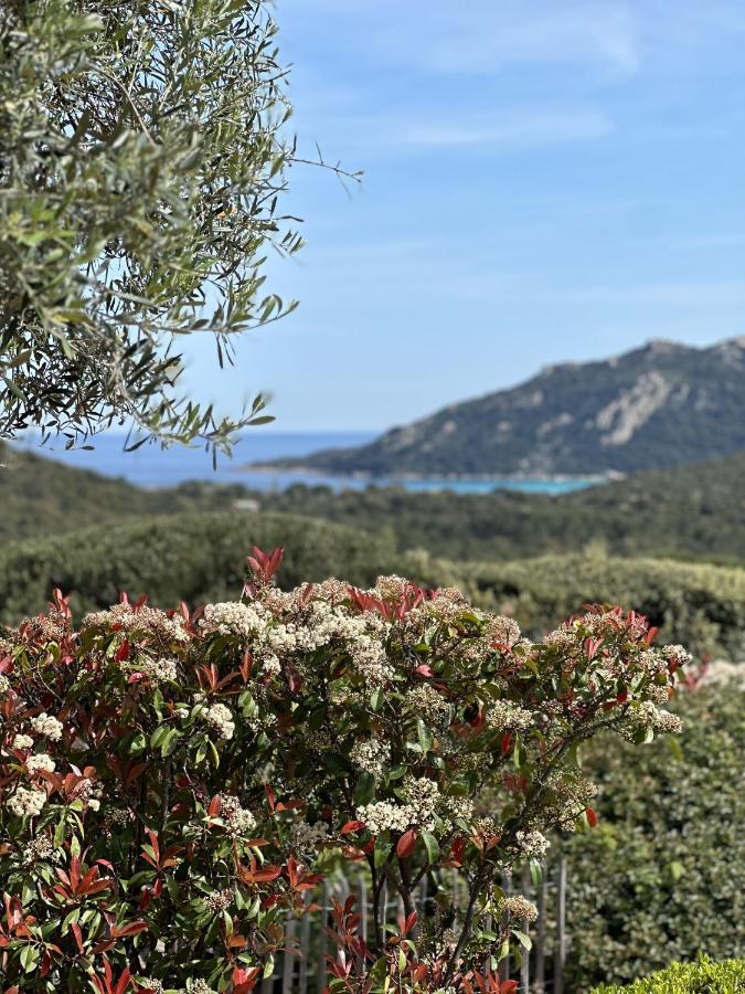 Tres Belle Bergerie Avec Piscine Chauffee A 1 Km De Santa Giulia Porto-Vecchio (Corsica) Exterior foto